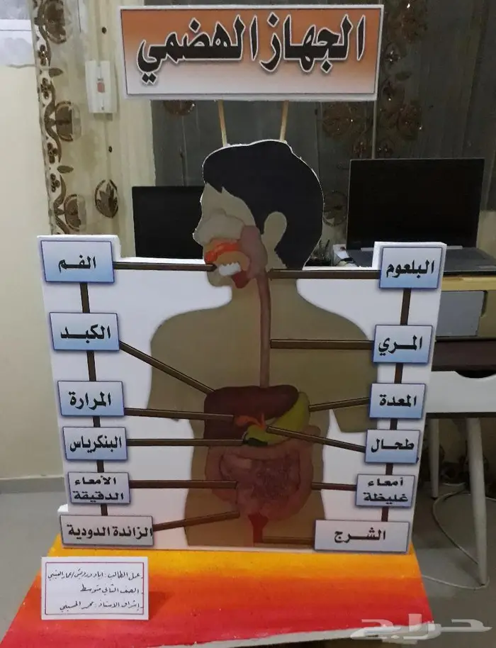 خطاط ورسام عمل مجسمات 19
