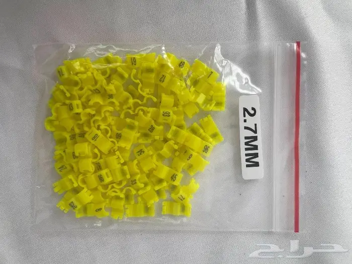 حجول خواتم طيور البادجي الكناري الزيبرا 6