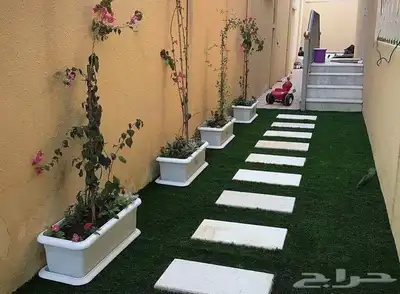 مشتل الرياض 1