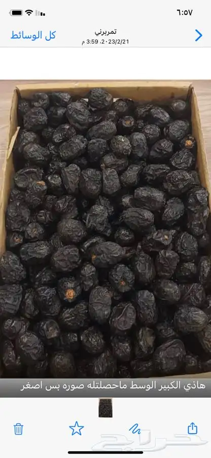 عجووة عالية المدينه 33