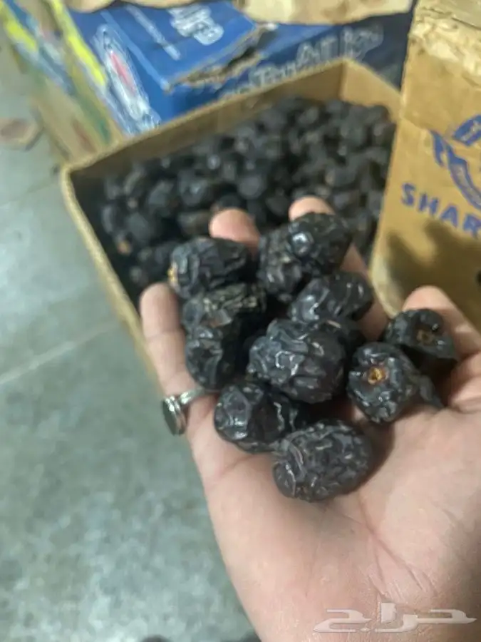 عجووة عالية المدينه 34