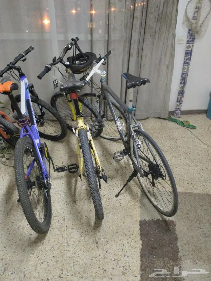 3سيكل 3 BIKE 2