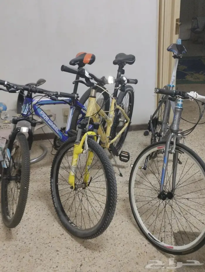 3سيكل 3 BIKE 5