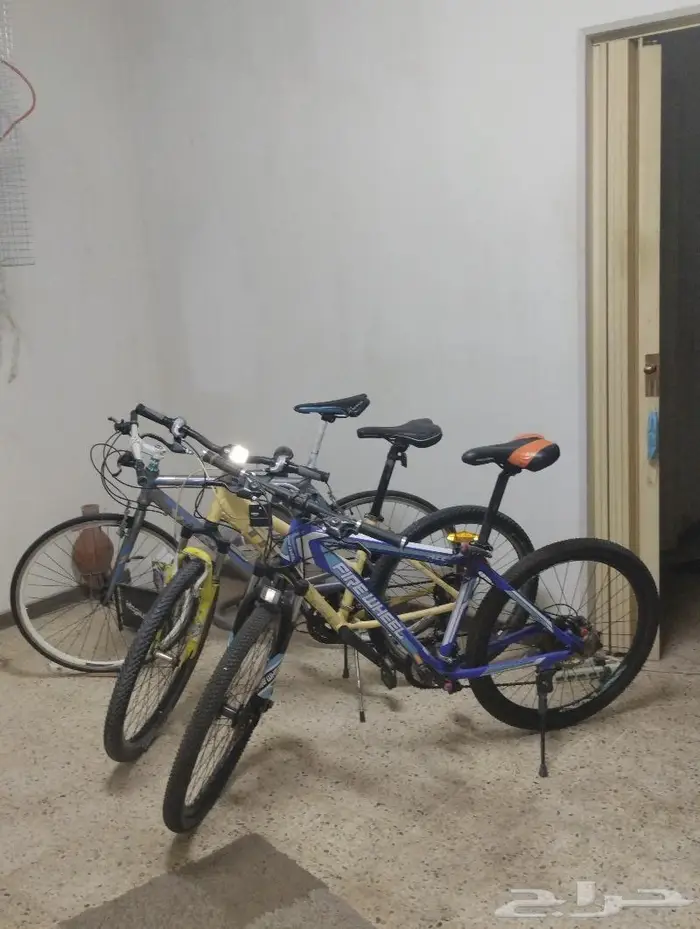 3سيكل 3 BIKE 11
