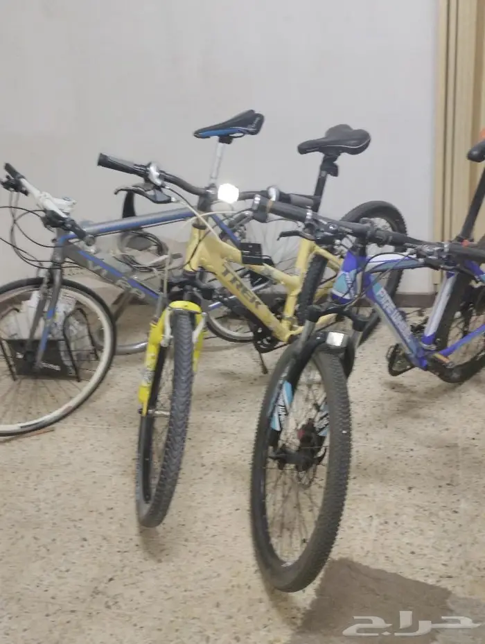 3سيكل 3 BIKE 12