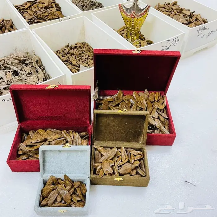 عود بخور فاخر بسعر الجملة 4