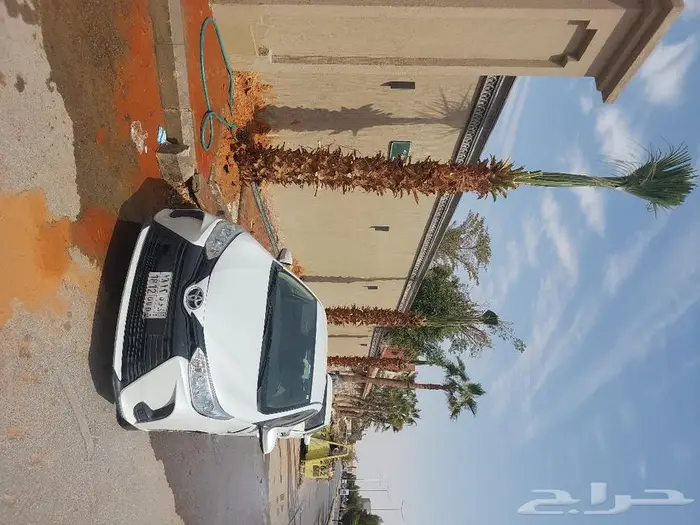 مقاول شبوك وترميم الرياض 3