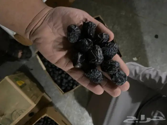 عجووة عالية المدينه 30