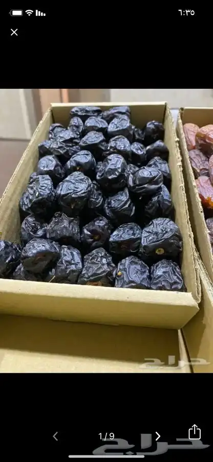 عجوه فاخرره حبه كبيره 1