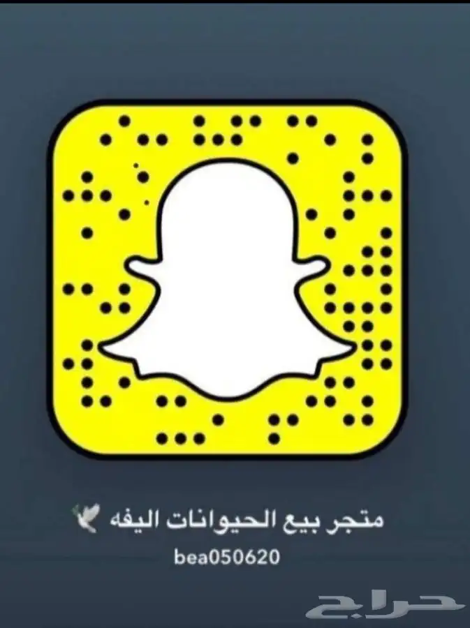 توصيل أغراض مرسول مشاوير خاصه هداياء ورد مندوب 2