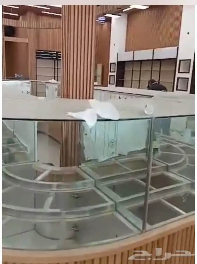 زجاج سكريت زجاج الخليج 0556599097 8