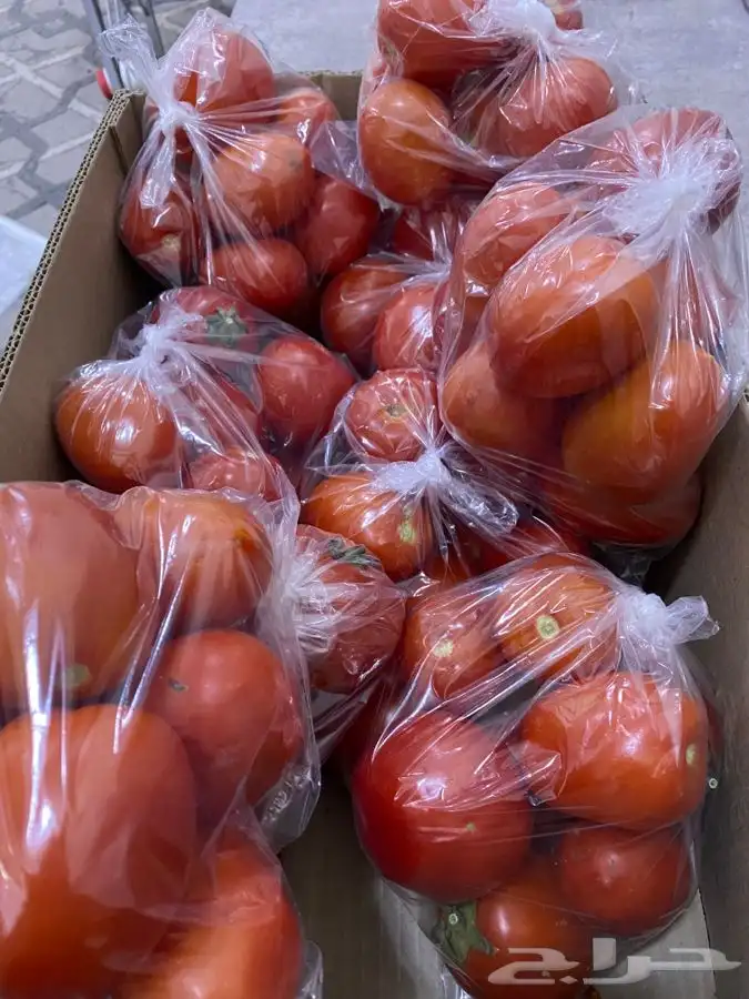بندوره لذيذه 1