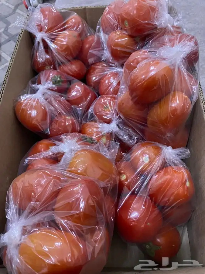 بندوره لذيذه 2