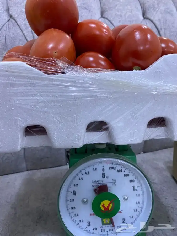 بندوره لذيذه 0