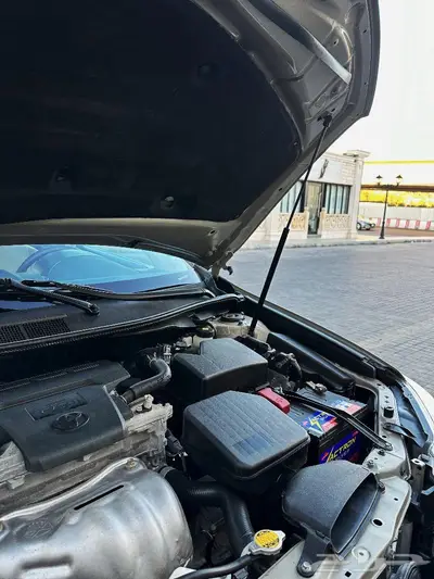 ( مباع ). 16
