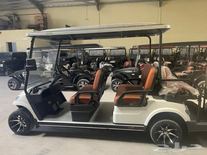 عربات كهربائية golf car 8