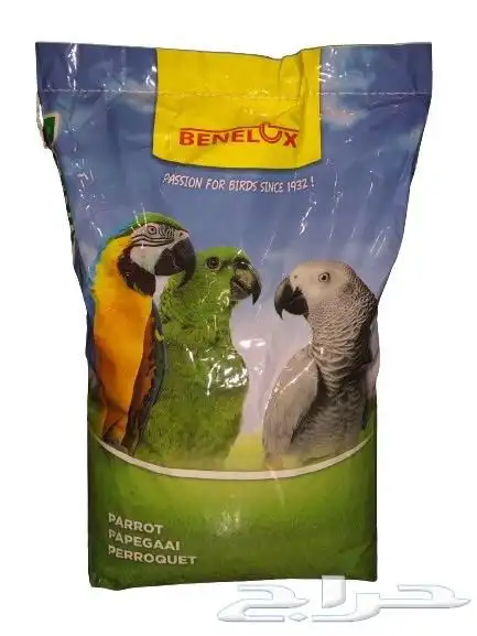 كاسكو ببغاء دوره المكاو الكوكاتو الدرة 0