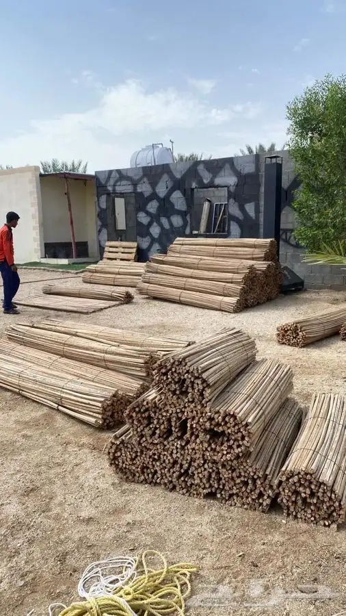 سعف نخل جريد عسف 12