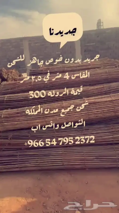 سعف نخل جريد عسف 2