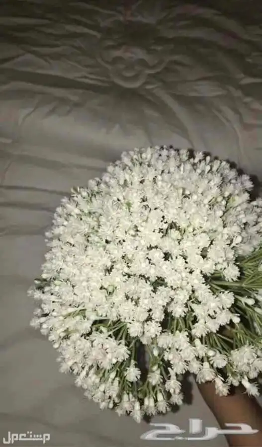 مسكة ورد عرايس في جدة بسعر 70 ريال سعودي 2