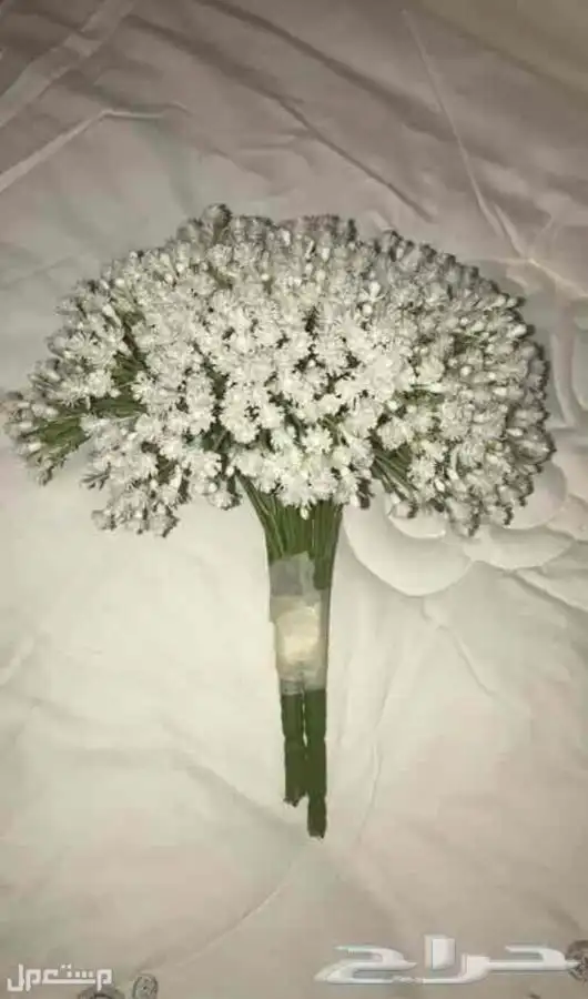 مسكة ورد عرايس في جدة بسعر 70 ريال سعودي 1