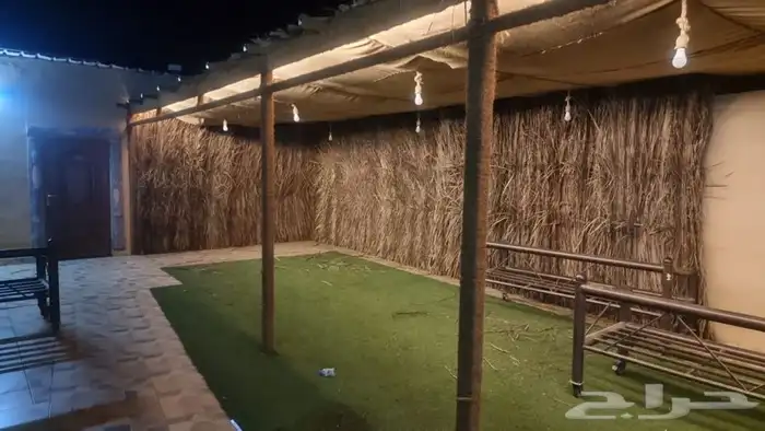 سعف نخل جريد عسف 8