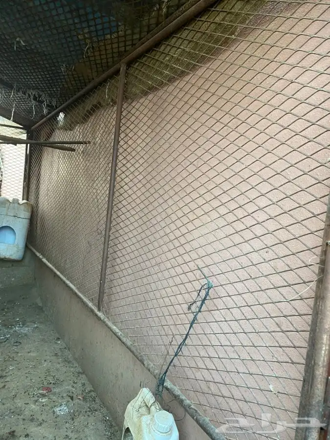 شبك حلال او دجاج 2م في 3م 3