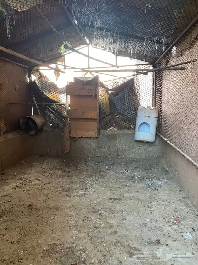 شبك حلال او دجاج 2م في 3م 2