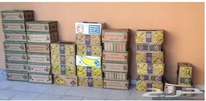 كراتين تمر نثري نظاف 0