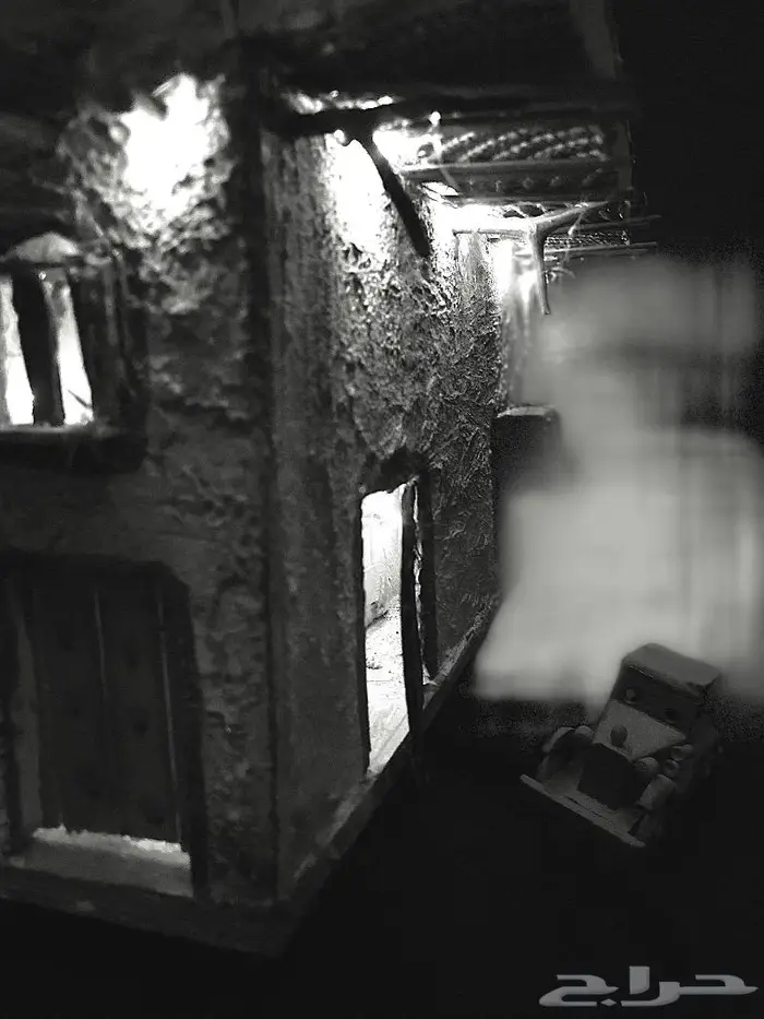 تراث مجسم بيت شعبي 14