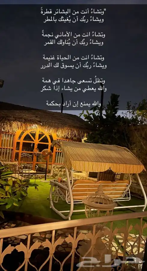 سعف نخل رولات السعف جريد عسف النخل 3