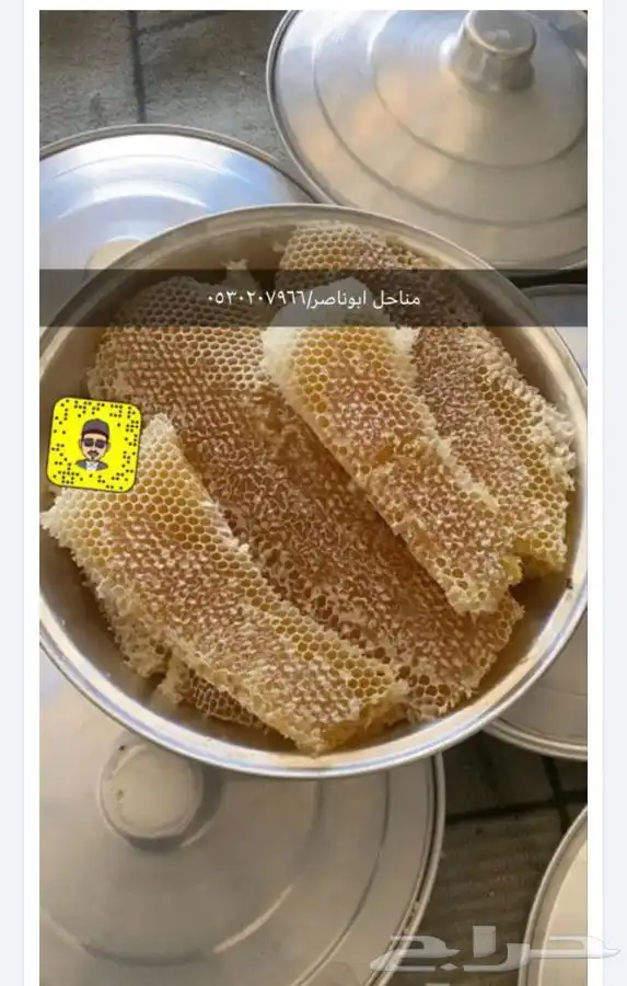 عسل سدر سمره وطلح 6