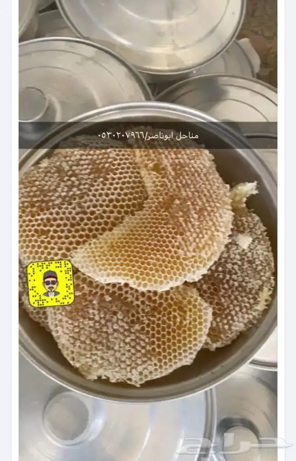 عسل سدر سمره وطلح 5