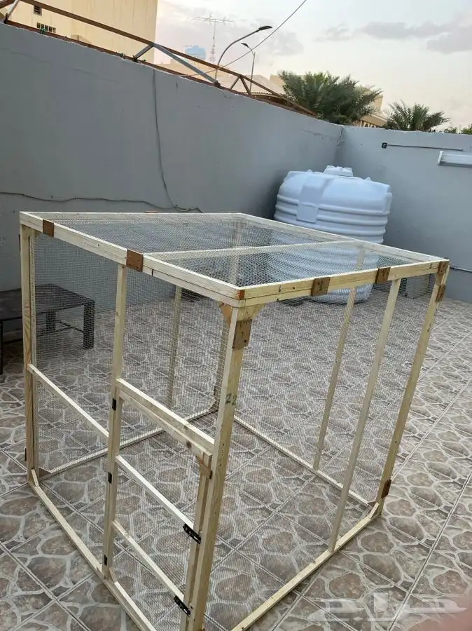 محكر حمام محكر روز محكر دجاج شبوك بط 2