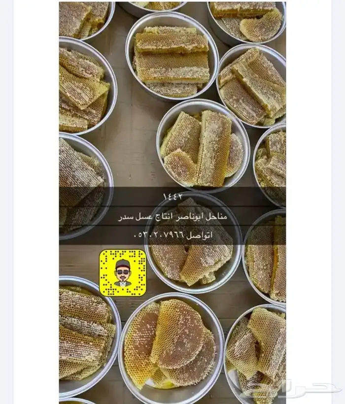 عسل سدر سمره وطلح 10