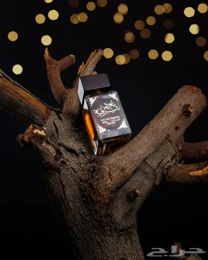 تصوير منتجات احترافي 74