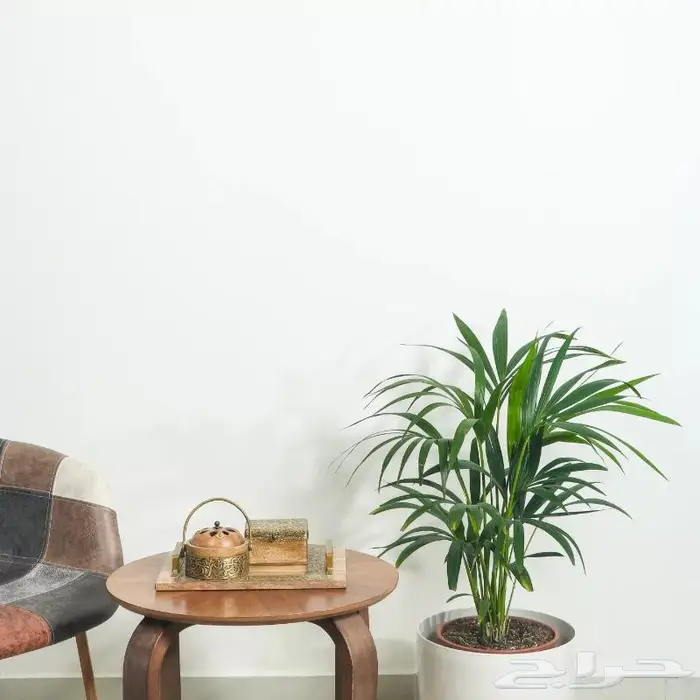 تصوير منتجات احترافي 56