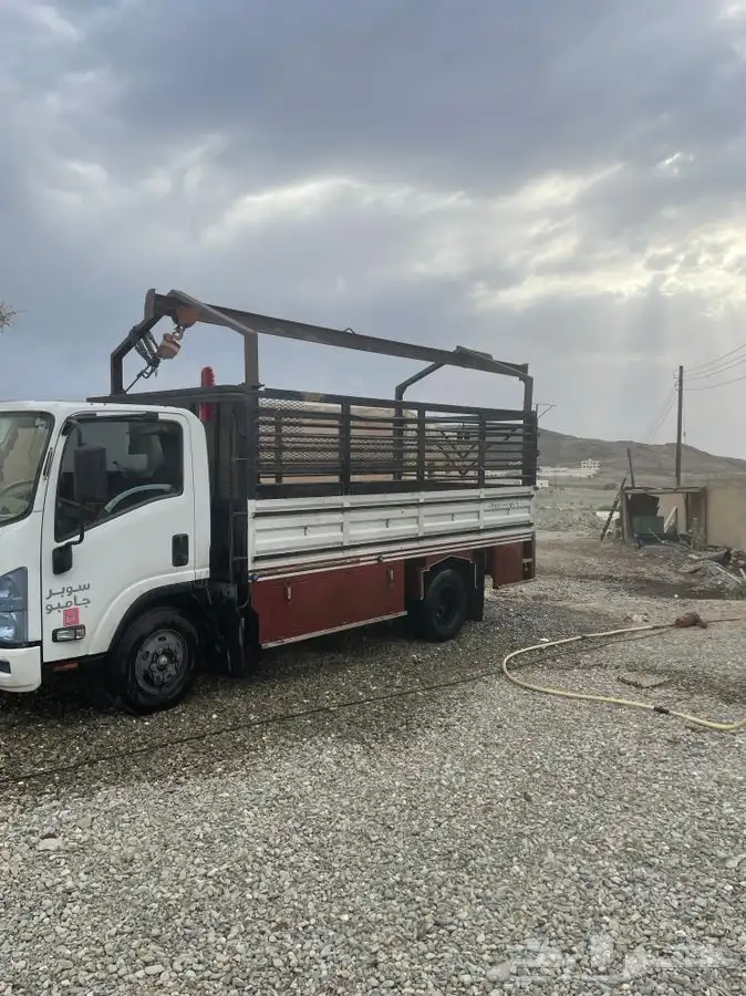دينه دناء ديناء توصيل عفش حلال الابل خيل داخل الباحه وخارجه 1