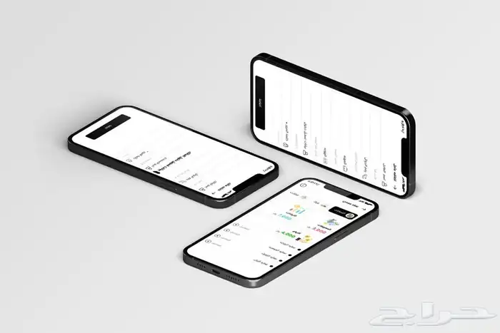 تصميم وبرمجة المواقع والتطبيقات 3