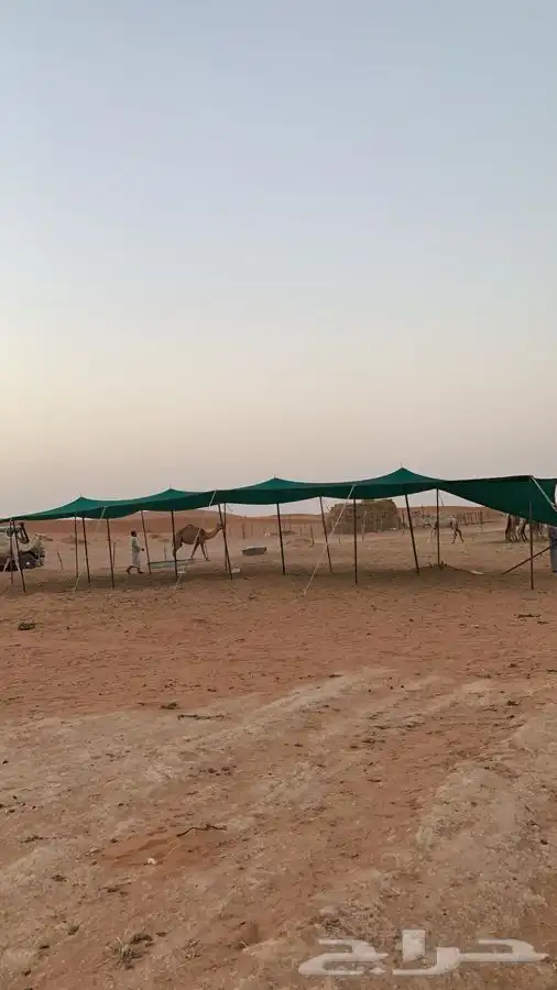 مظلات الغنم والإبل 12