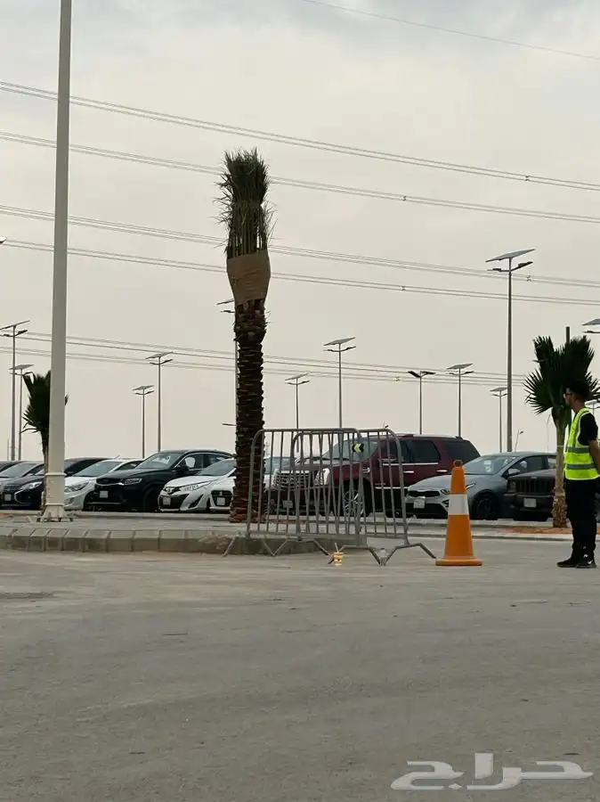 اعمده طاقه شمسيه للمشاريع الضخمه 1