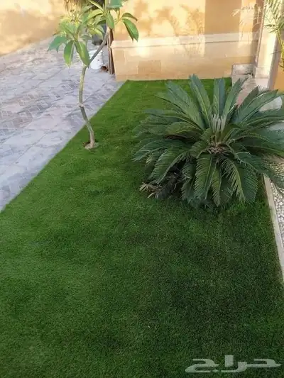 مشتل ابو ريان 2