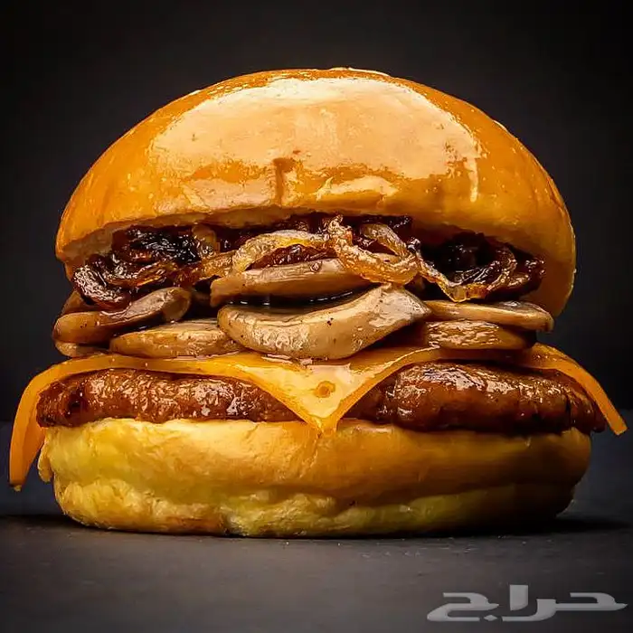 مصور اطعمه مصور برجر متخصص 1