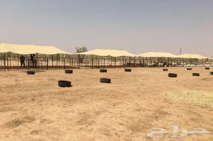مظلات الغنم والإبل 9