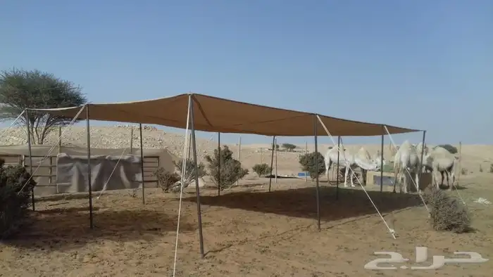 مظلات الغنم والإبل 17