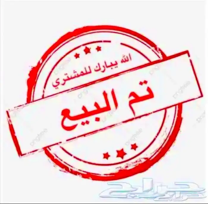 تيس فحل عارضي خصم تم البيع 3