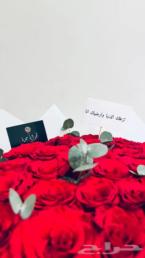 هدايا جدة وأكثر التفاصيل داخل الإعلان 11