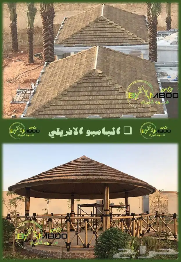 البامبو الإندونيسي 14
