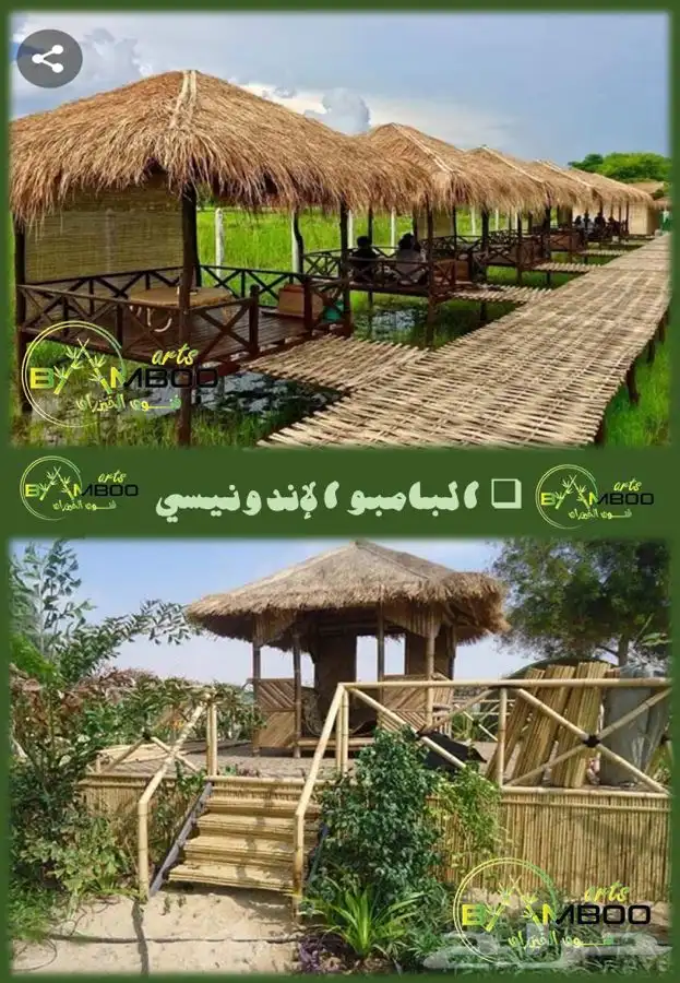 البامبو الإندونيسي 0