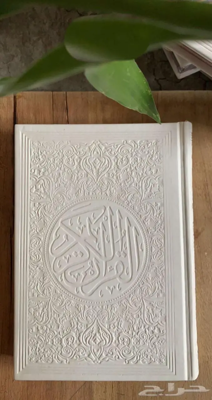 مصاحف ملونه 12